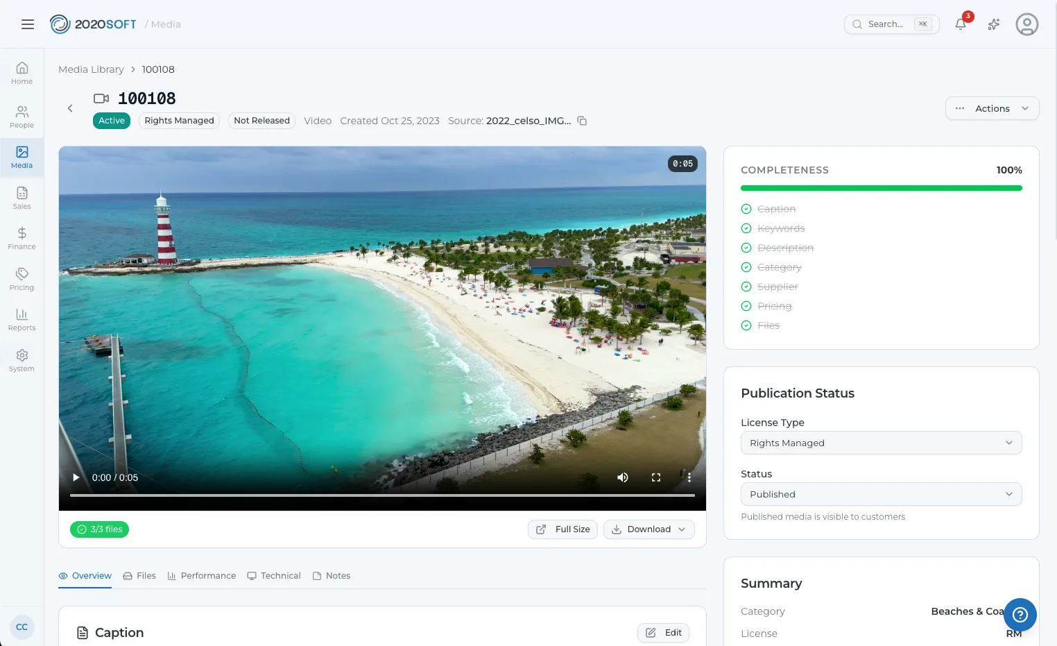 2020SOFT asset detail view with video preview, metadata completeness, and publication status
